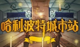 神秘大玩家视频爆料人物,视频爆料人物背后的惊人真相